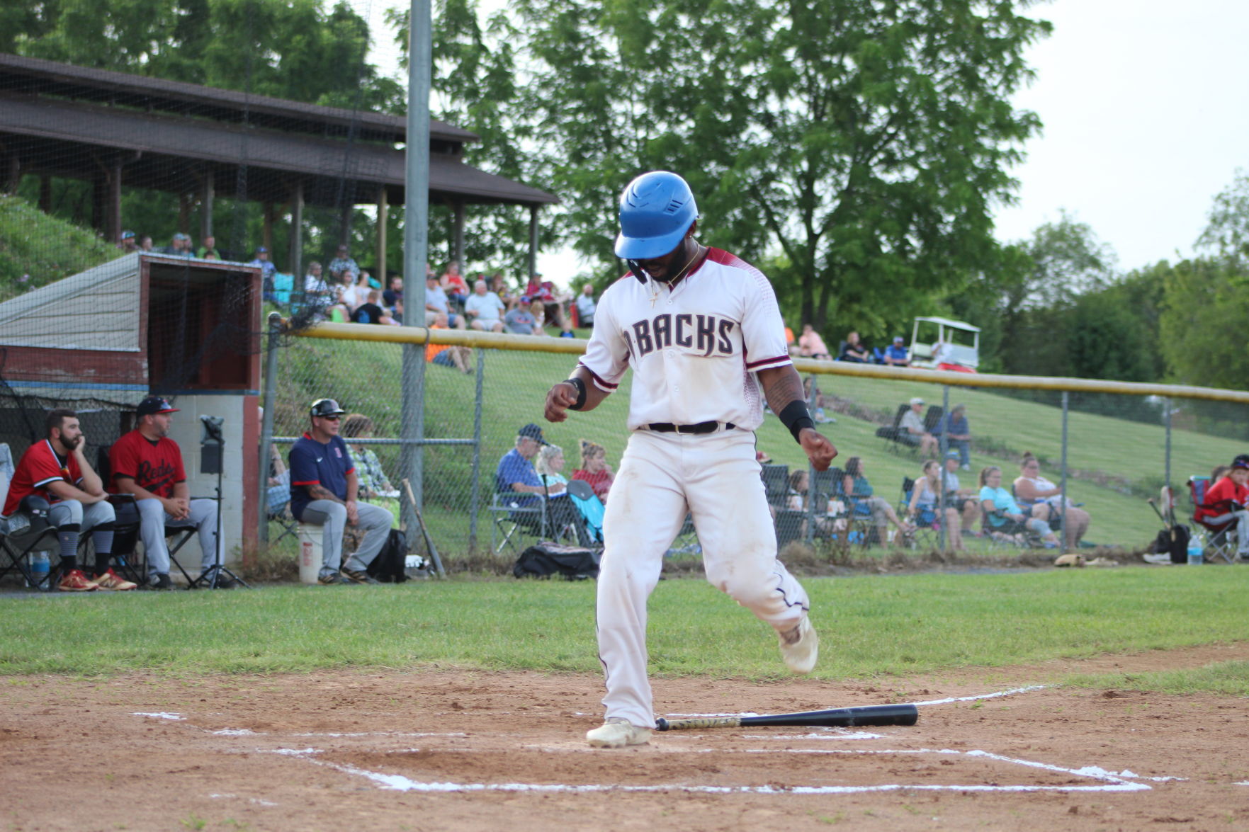 Stuarts Draft Diamondbacks home opener